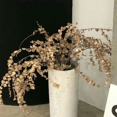 兽设暗黑风格设计兽圈社群